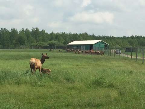 Rainy River Elk Company